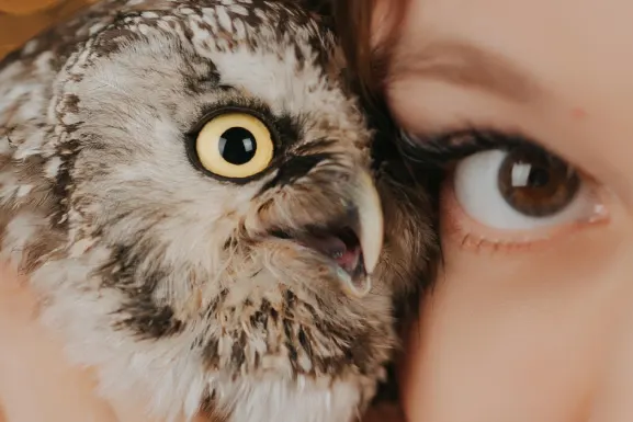 PlayHub Kasyno Wsparcie